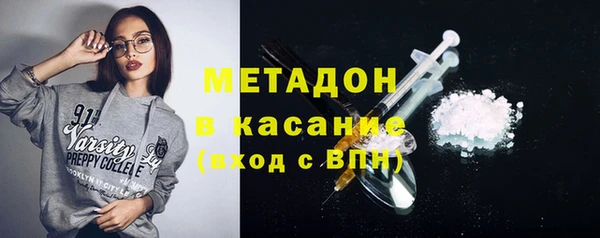 прущие грибы Алексеевка