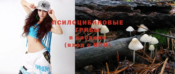 прущие грибы Алексеевка