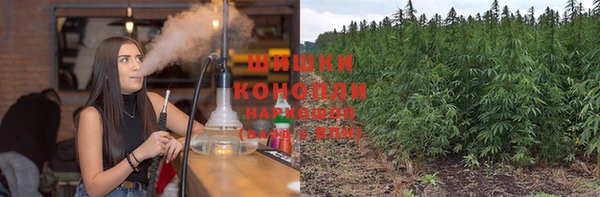 прущие грибы Алексеевка