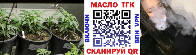 гидра ТОР  где купить наркоту  Светлоград  ТГК THC oil 
