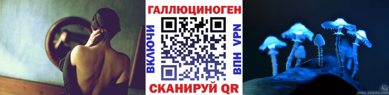 Псилоцибиновые грибы GOLDEN TEACHER  наркотики  кракен зеркало  Светлоград 